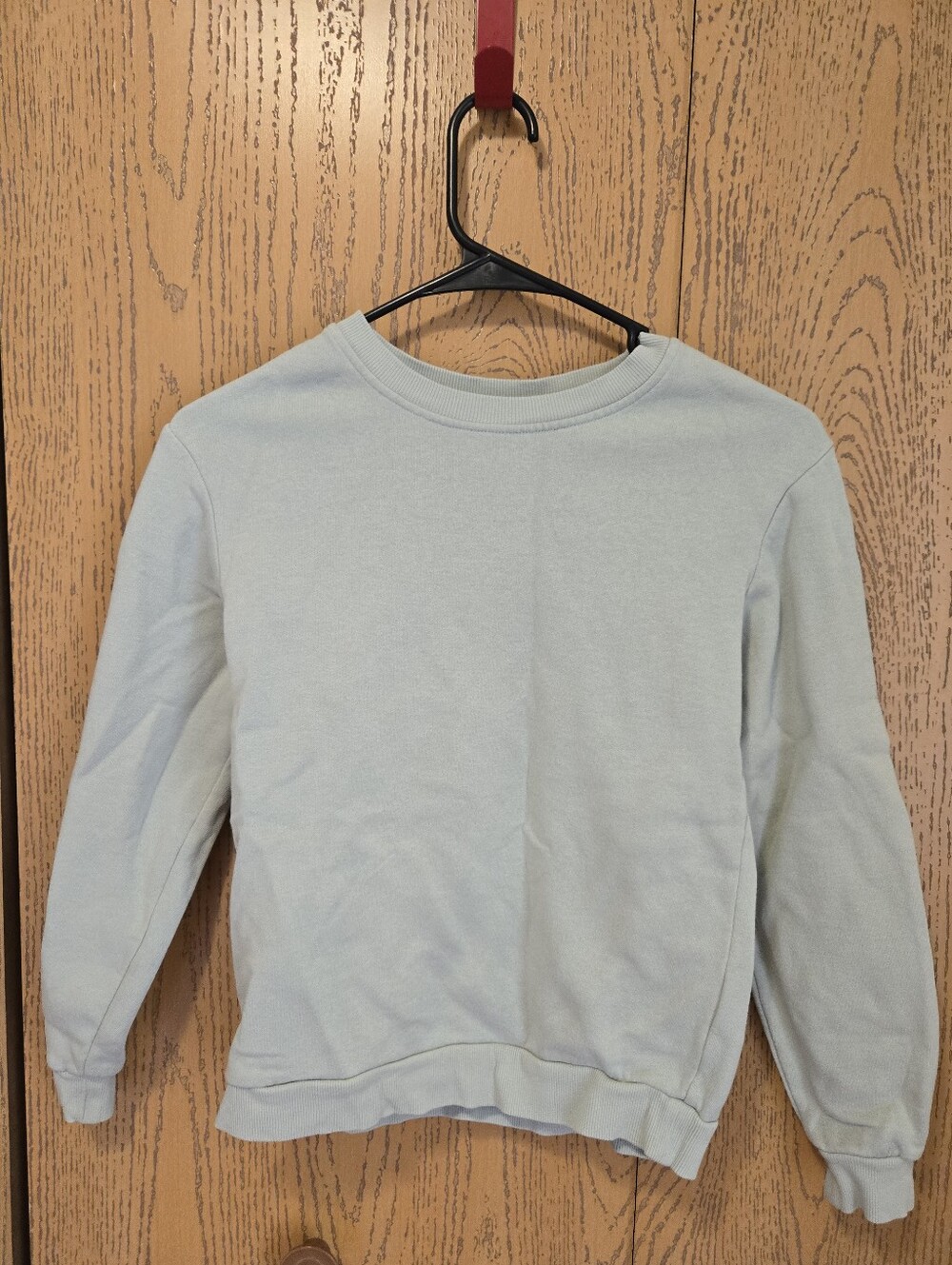 Girl's Crew Neck Sweatshirt Light Sage Green
